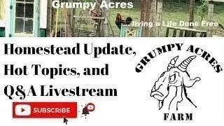 Homestead Update and Chat - Weekly Happenings