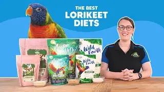 What to Feed Your Lorikeets