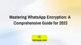 WhatsApp Message Decryption Guide: Latest Comprehensive Guide