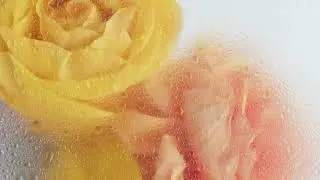 Sonia Stein - Sad Girl [Visualiser]