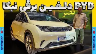 دلفین هاچبک برقی بی وای دی