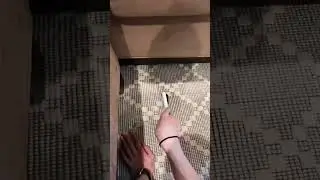 Got Carpet Stains?