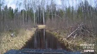 Колган 2015