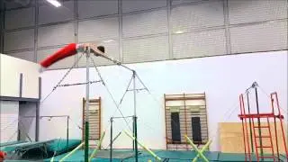 Age Group Programme - Men's Artistic Technical Ability Testing – Horizontal Bar - Exercise 3.3