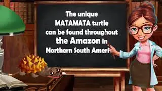 ZooCraft: Fun Facts Time 2! Vol. 10 (Matamata)