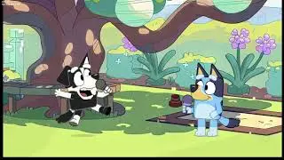 Bluey Can Can