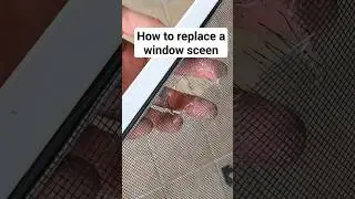 How to Replace a Damaged Window Screen - 