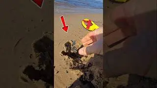 Crazy people... They still walking on that beach