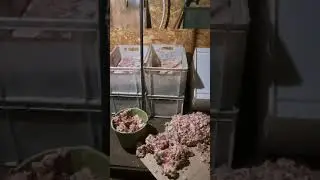 Все на наших плечах