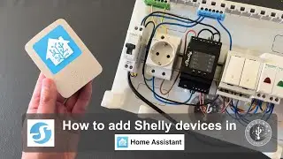How to add Shelly devices to Home Assistant