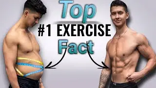 Fat Loss Exercise | How Fat loss exercise Changed The Game This Year