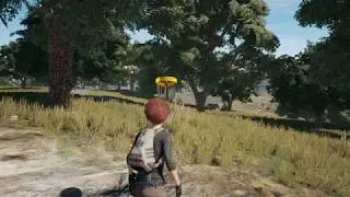 Battlegrounds Discgolf! (1000% authentic New Game Mode!)