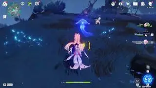 Genshin impact wut?