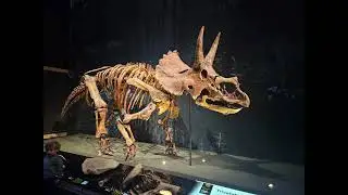 Museum Nutralis in leiden, fotos en videos.