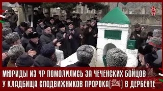 МЮРИДЫ ИЗ ЧР ПОМОЛИЛИСЬ ЗА ЧЕЧЕНСКИХ БОЙЦОВ  КЛАДБИЩА СПОДВИЖНИКОВ ПРОРОКА(ﷺ) В ДЕРБЕНТЕ