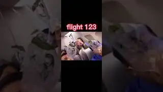 Japan Airlines Flight 123 Crash 🛫✈️ 