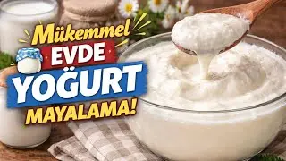 Taş Gibi Yoğurt Mayalamak Hiçde Zor Değil ✔️ Yoğurt Nasıl Mayalanır?💯 Tüm Püf Noktaları İle ✅