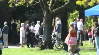 Video Ward Jackson Park Red Dreams Video 1