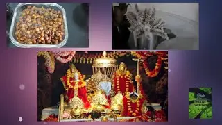 Last Day of Navratri in Mumbai (navmi)2020