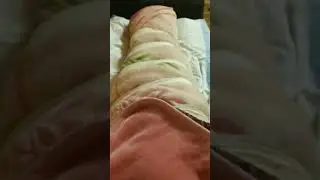 My Girlfriend Wrapped & Tied in 2 heavy weighted Mink Blankets | 😍😍😍❤️❤️❤️🌯🌯🌯