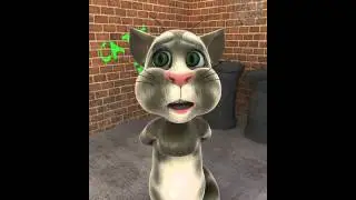 Talking Tom-Tap Remix