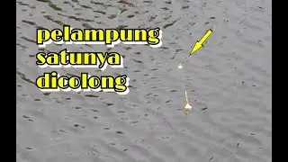 Asik mancing disini, ikannya gak basa basi