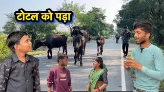 Totally loved it || Bundeli comedy || Hanmat bhaiya || Pappu bhaiya