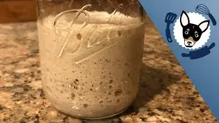 How to Make Yeast with Less Flour for Beginners