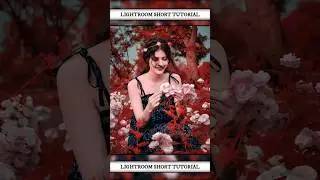 Red And Dark Blue Effect Lightroom Photo Editing Tutorial In Mobile