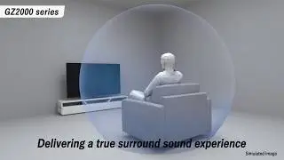 Panasonic GZ2000 Speaker System