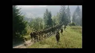 Ой у лузі червона калина wmv