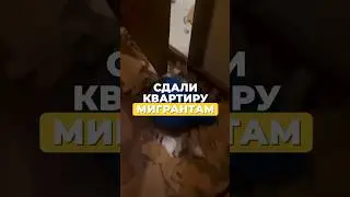 Мигранты разнесли квартиру