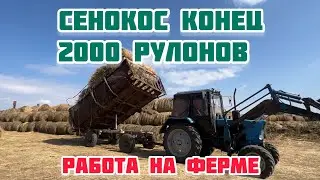 Будни на ферме. Привезли сено. Чистим базы