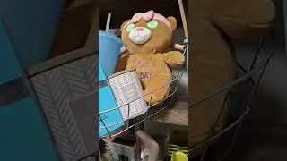 Mother's Day Gifts Using Penny & Clearance Items
