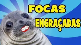 TOP 10 FOCAS ENGRAÇADAS -videos engraçados 2017  -DUVIDO VOCÊ não RIR (sea doggo )