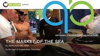 El Mercado del Mar by the Team of CoopeSoliDar