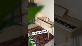 Quick overview of the Sonora SDP-1 digital piano! 🎶 #digitalpiano #piano #playpiano #overview