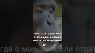 8 мая 2023 г.