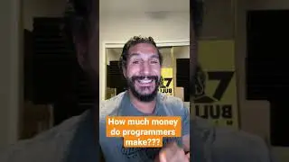 How much money do programmers make?