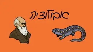אבולוציה מוסברת בפשטות