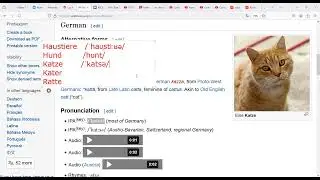 Clase de Idioma Alemán 05/09/24 - Los Animales en Alemán