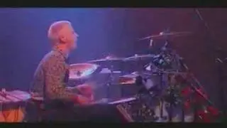 Muse - Micro Cuts