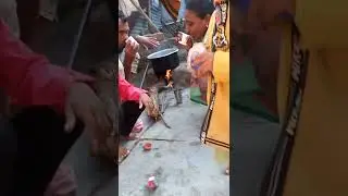 आइस्क्रीम खा .