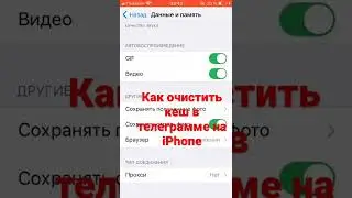 Как очистить кеш в телеграмме на iPhone 