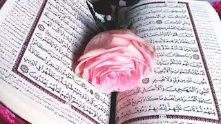 Трейд обмен с сестрой❤️❣️💙💓🦋🌸 
