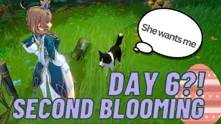 Genshin Impact Second Blooming Day 6?!  - LISA EASTER EGG Location