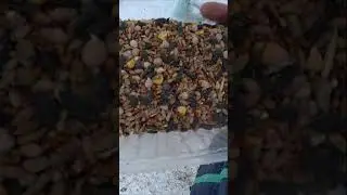 Друзья ждут меня на дереве