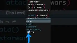 The dim() function in R programming