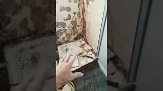 Absolute Filth, Bathroom rip out and rebuild, #filthy,#dirty,#decay
