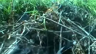 хороший клёв